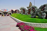 Dubai Miracle Garden and Butterfly Garden Tickets 5