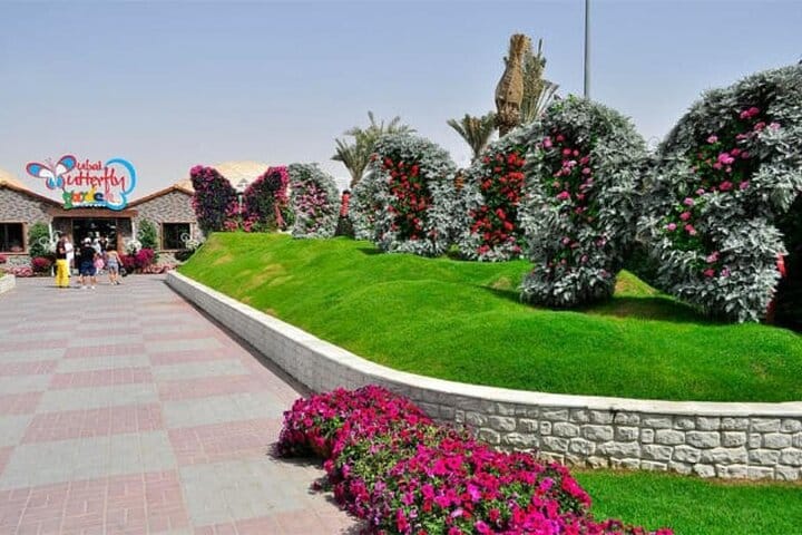 Dubai Miracle Garden and Butterfly Garden Tickets 5