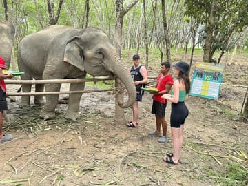 From Phuket to Khao Lak Elephant Sanctuary Tour with Waterfall and Lunch
