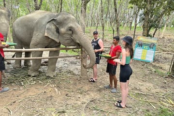 From Phuket to Khao Lak Elephant Sanctuary Tour with Waterfall and Lunch