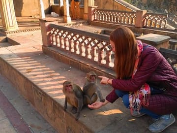 10-Day Cultural Tour of Rajasthan and Agra from New Delhi