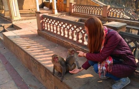 10-Days Rajasthan & Agra tour from Delhi Includes Hotels,Transportations & Guide