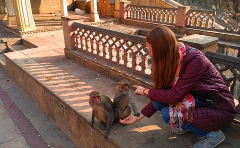 10-Day Cultural Tour of Rajasthan and Agra from New Delhi
