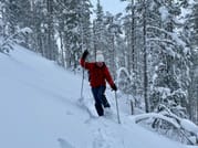 Private tour: Snowshoeing in Levi  3