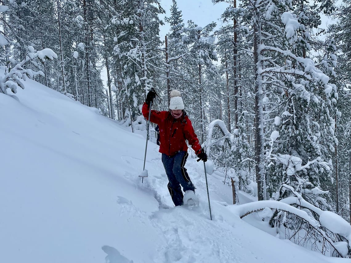 Private tour: Snowshoeing in Levi  3