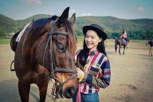 Horse Lesson+Riding+Doikham holy temple.Chiangmai