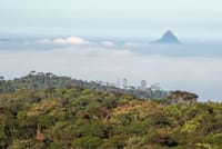 Hortan Plains Tour From Kandy 8