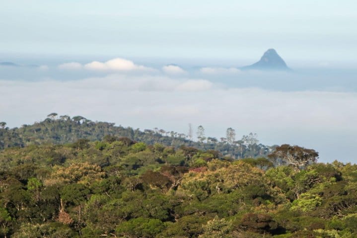 Hortan Plains Tour From Kandy 8