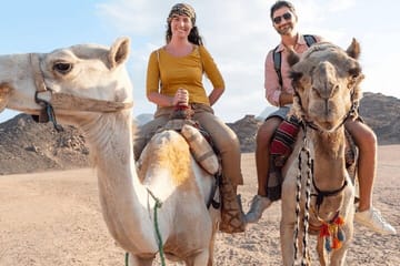 Quad Bike and Camel Ride Tour in Marsa Alam, Egypt