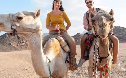 Quad Bike and Camel Ride Tour in Marsa Alam, Egypt