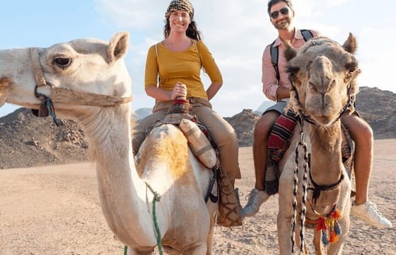 Quad with Camel Ride & Bedouin village, Dinner From Marsa Alam