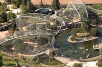 The Bioparque Temaiken
