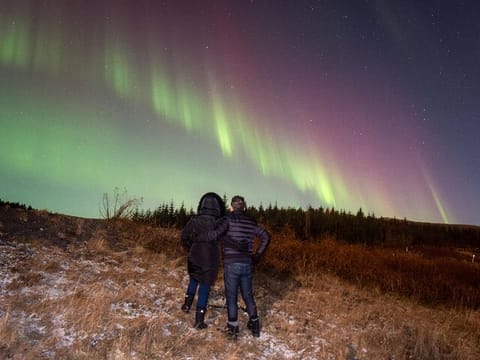 Exclusive 3-Hour NORTHERN LIGHTS Experience – Private Tour, photo 2
