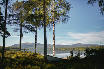 Walking Tour of Pyhä-Luosto National Park near Kemijärvi