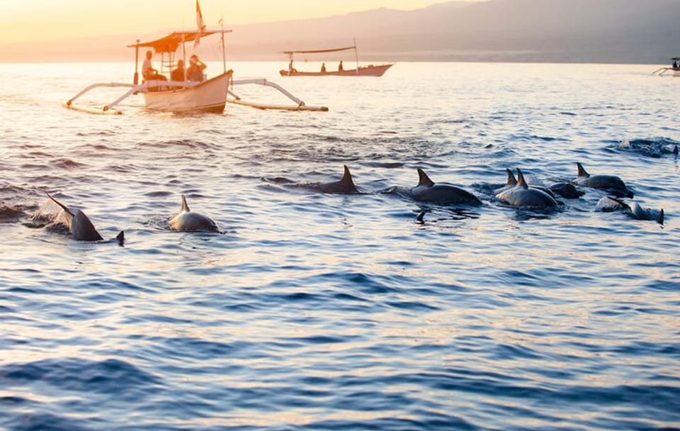 Munduk Waterfall Dolphin Watching and Snorkeling Tour