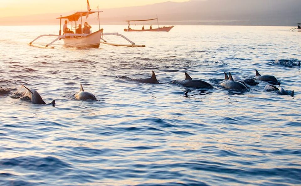 Munduk Waterfall Dolphin Watching and Snorkeling Tour