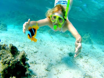 Snorkeling Adventure at Ras Mohamed National Park from Sharm El Sheikh