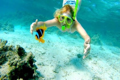 Snorkeling Trip to the Ras Mohamed National Park and White Island by Boat
