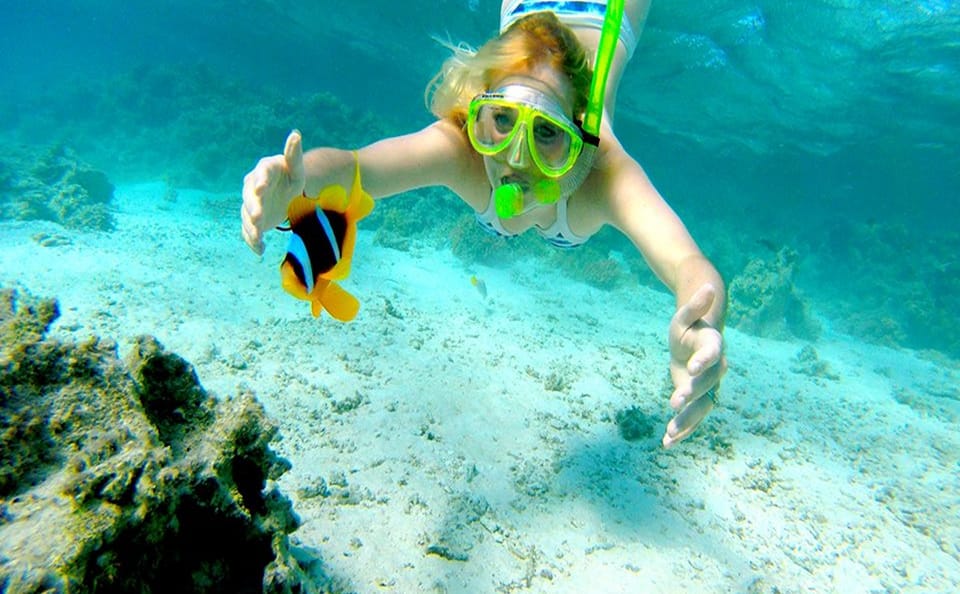 Snorkeling Adventure at Ras Mohamed National Park from Sharm El Sheikh