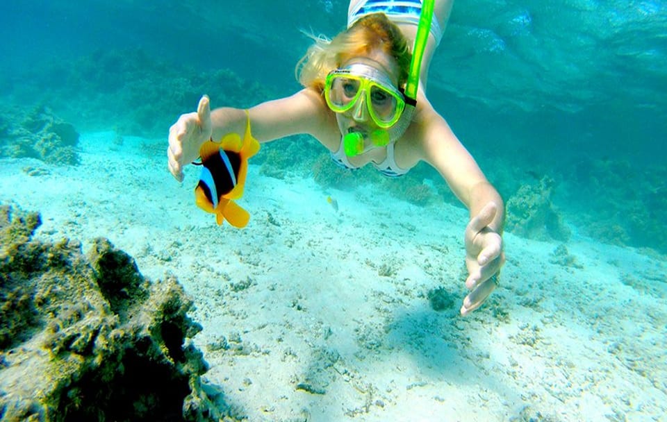 Snorkeling Adventure at Ras Mohamed National Park from Sharm El Sheikh