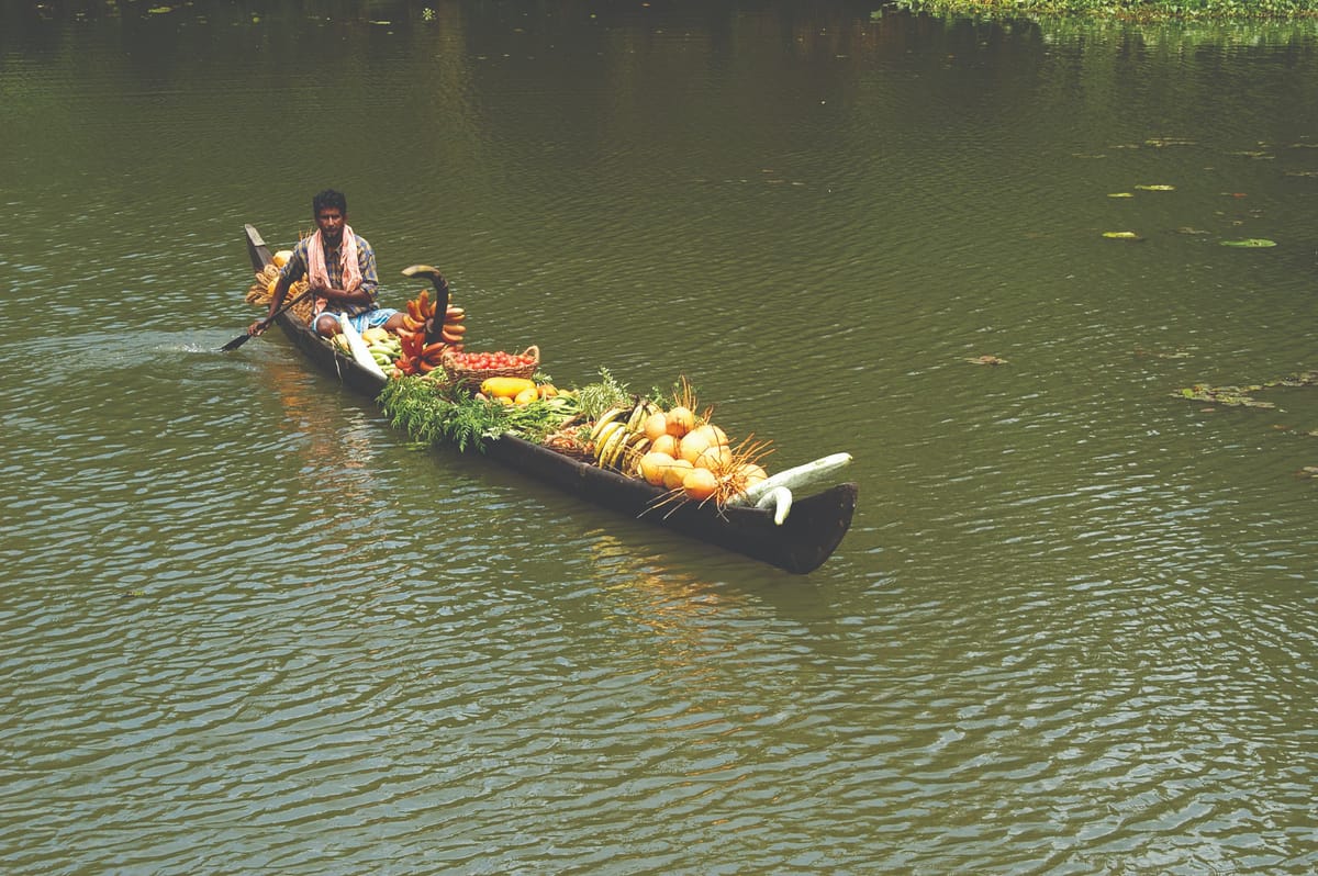 Backwaters & Beyond: Exploring South India’s Temples