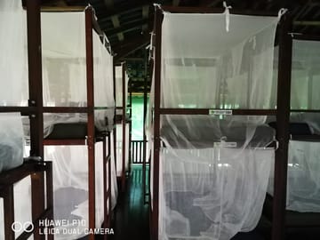 Corcovado National Park Overnight Adventure at Sirena Station