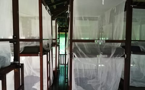 Corcovado National Park Overnight Adventure at Sirena Station