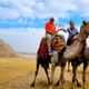 Private camil ride and pyramids tour
