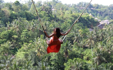 Private 3-Day Cultural and Snorkeling Tour in Bali