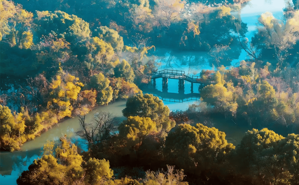 Half-Day Guided Tour of Hangzhou Xixi Wetland Park