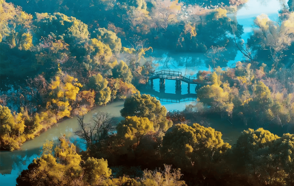 Half-Day Guided Tour of Hangzhou Xixi Wetland Park
