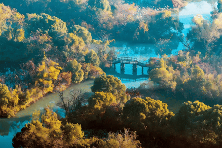 Half-Day Tour with Expert Guide: Explore Hangzhou Xixi Wetland Park (Includes Entry & Boat Ticket)