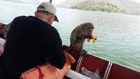 Kaeng Krachan Dam with Lake Cruise to Monkey Island Day Tour with Private Guide 10