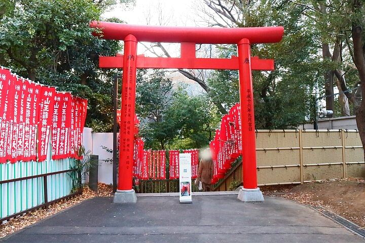 Small Group Walking Tour around Imperial palace and Hie Shrine