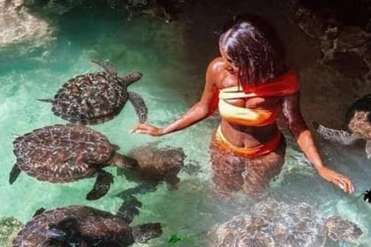 Zanzibar Swim with Dolphins and Turtles Visit at the Aquarium
