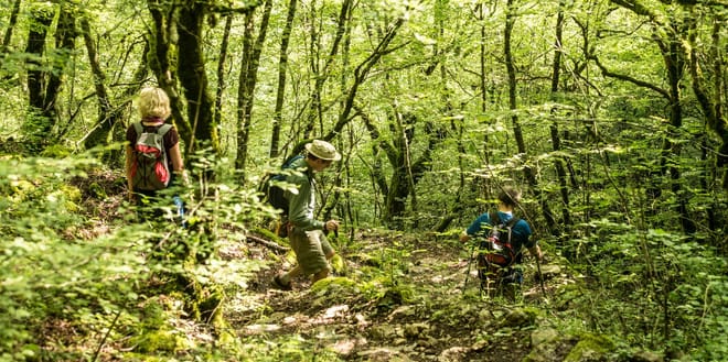 1 Day Vikos Gorge Crossing 9