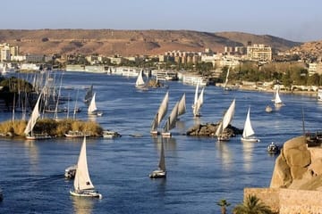 Aswan Botanical Garden Tour and Felucca Sailing Experience