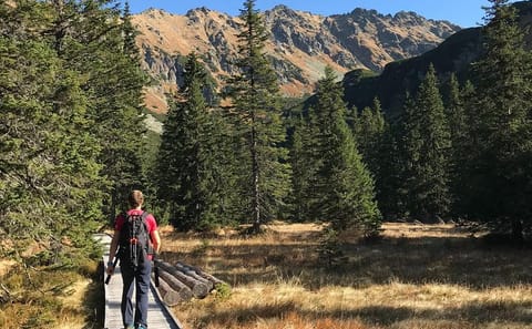 Guided Day Hike in the High Tatras from Poprad