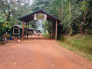 3-Day Gorilla Trekking Tour from Kampala to Bwindi
