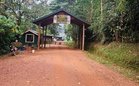 3-Day Gorilla Trekking Tour from Kampala to Bwindi