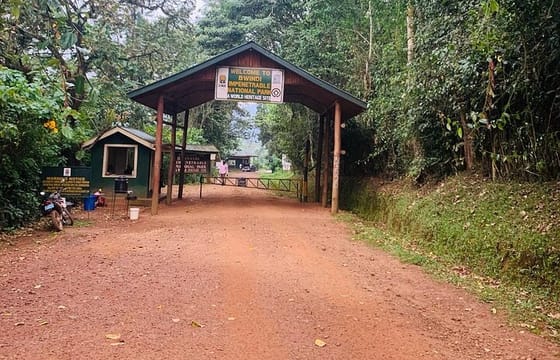 3 days Bwindi Gorilla Tour in Kampala