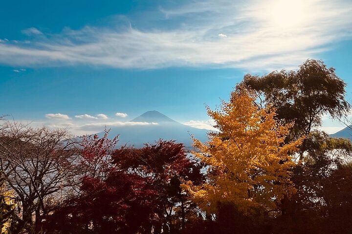 Mount Fuji Panoramic View & Shopping Day Tour