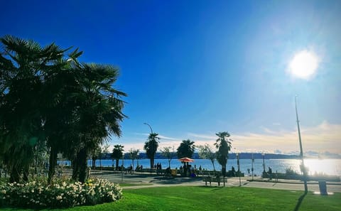 Private Full Day City Tour of 20 Attractions in Vancouver
