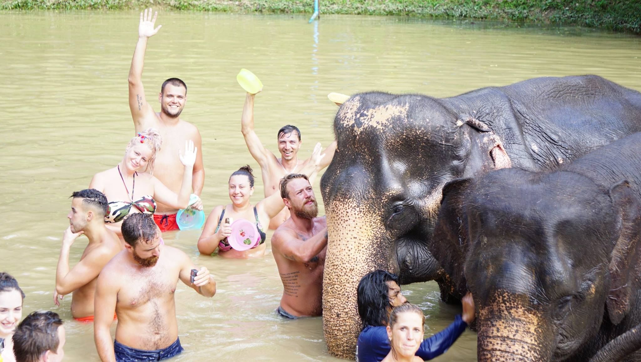 Koh Samui: Ethical Elephant Sanctuary Interactive Tour (EJS Samui)
