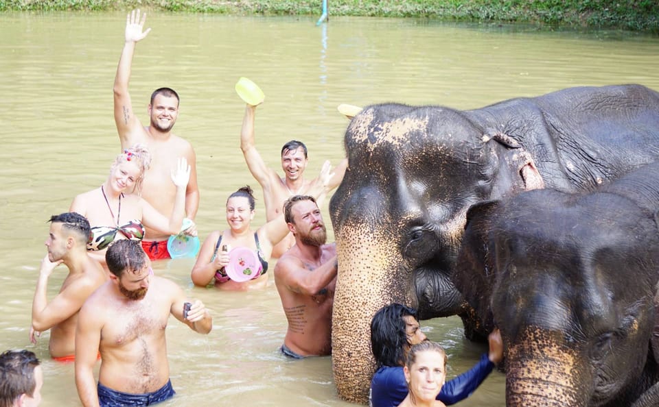 Chiang Mai: Ethical Elephant Sanctuary Interactive Tour