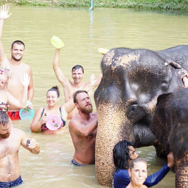 Khaolak: Phang Nga Ethical Elephant Sanctuary Day Trip