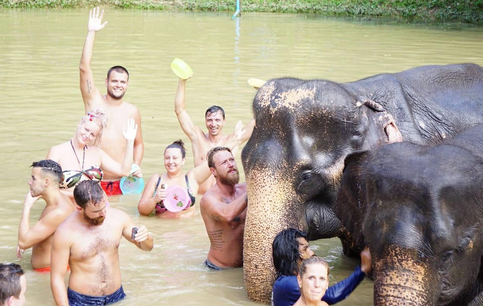 Khaolak: Phang Nga Ethical Elephant Sanctuary Day Trip