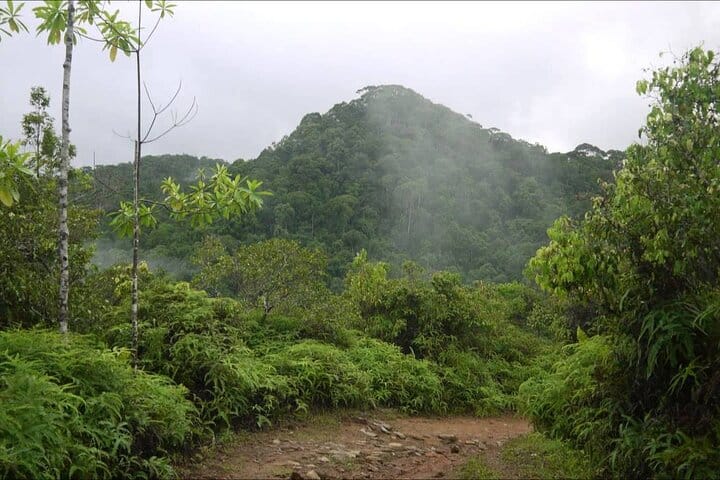 Sinharaja Rain Forest Tour from Tangalle 7
