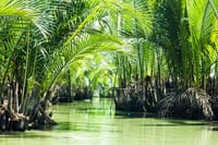 Can Gio Biosphere Reserve Day Trip from Ho Chi Minh City