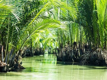 Can Gio Biosphere Reserve Day Trip from Ho Chi Minh City